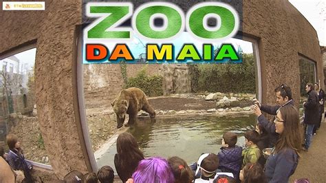 zoo da maia